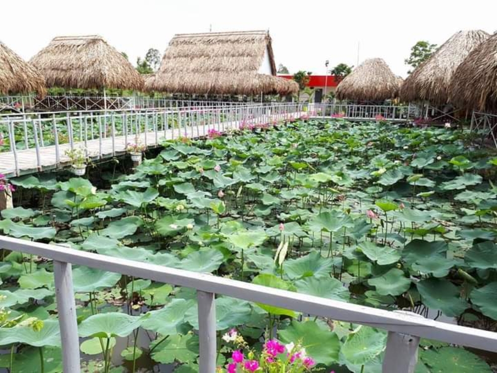 Nhà hàng ẩm thực Đại Nam